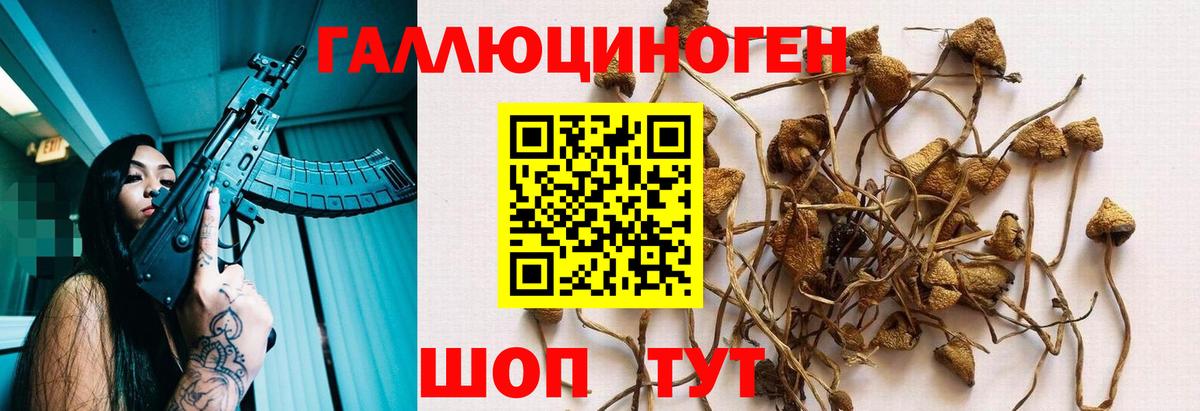 Псилоцибиновые грибы мицелий Элиста